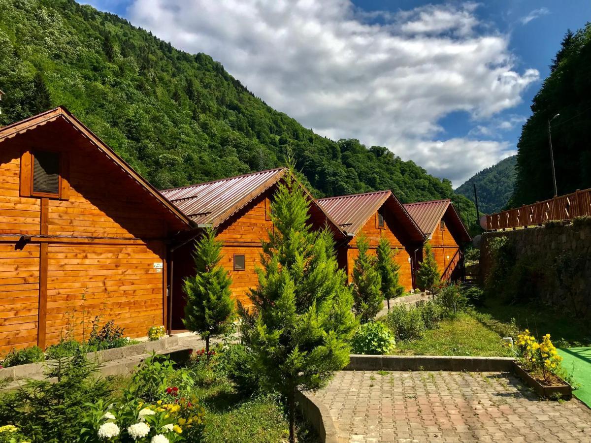 Çamlıhemşin Tuva Villa Bungalov المظهر الخارجي الصورة