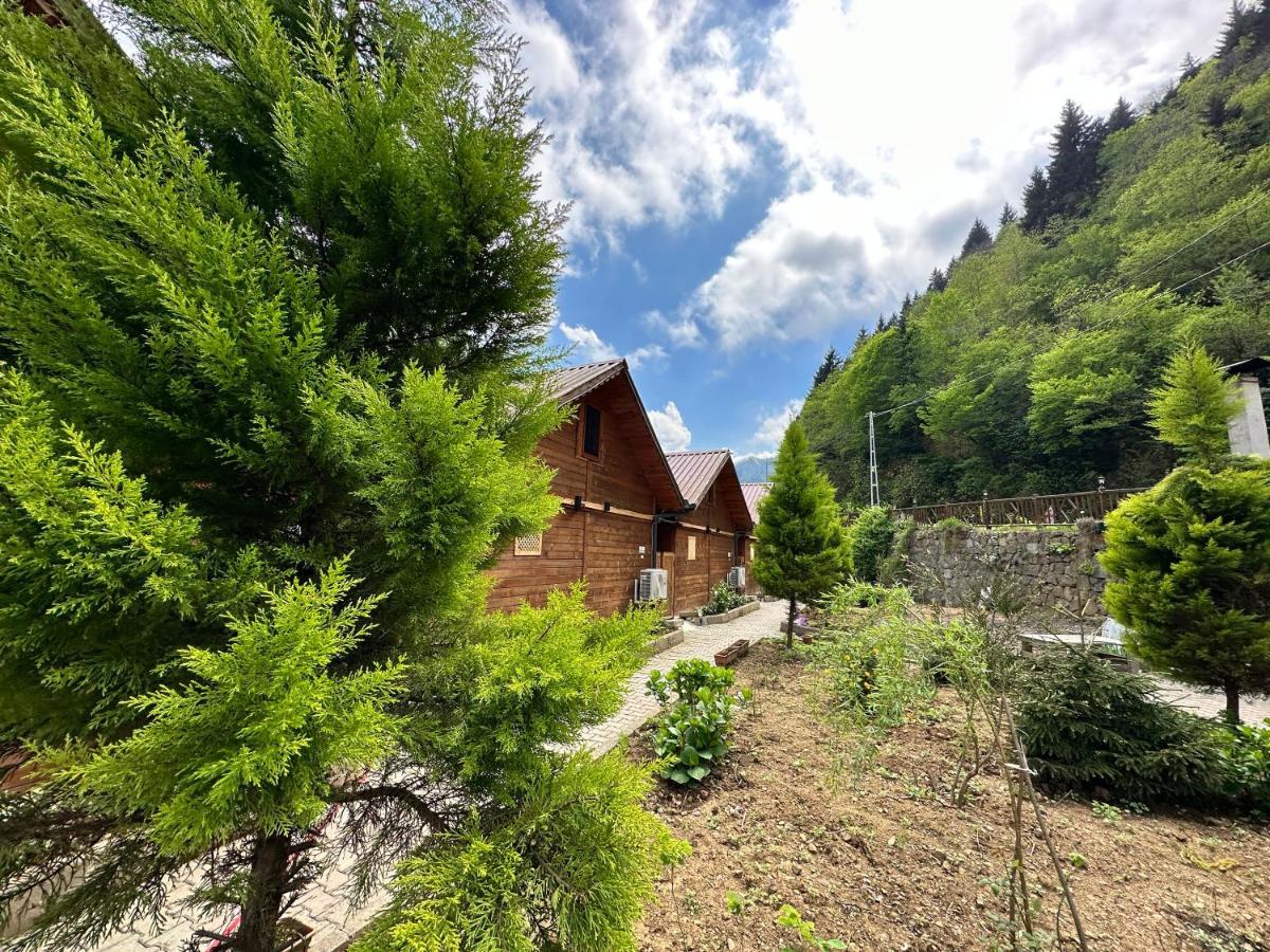 Çamlıhemşin Tuva Villa Bungalov المظهر الخارجي الصورة